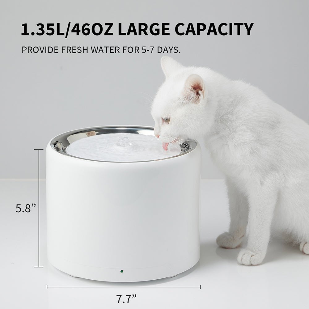 2025/08/07 Petkit Eversweet 3 Pro: The Water Fountain That Makes Hydra