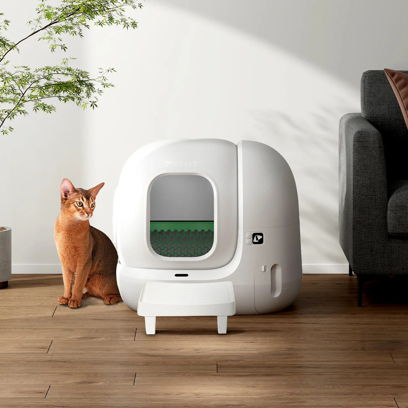 2025/08/06 The Best Self Cleaning Cat Litter Box: A Game-Changer for Cat Owners