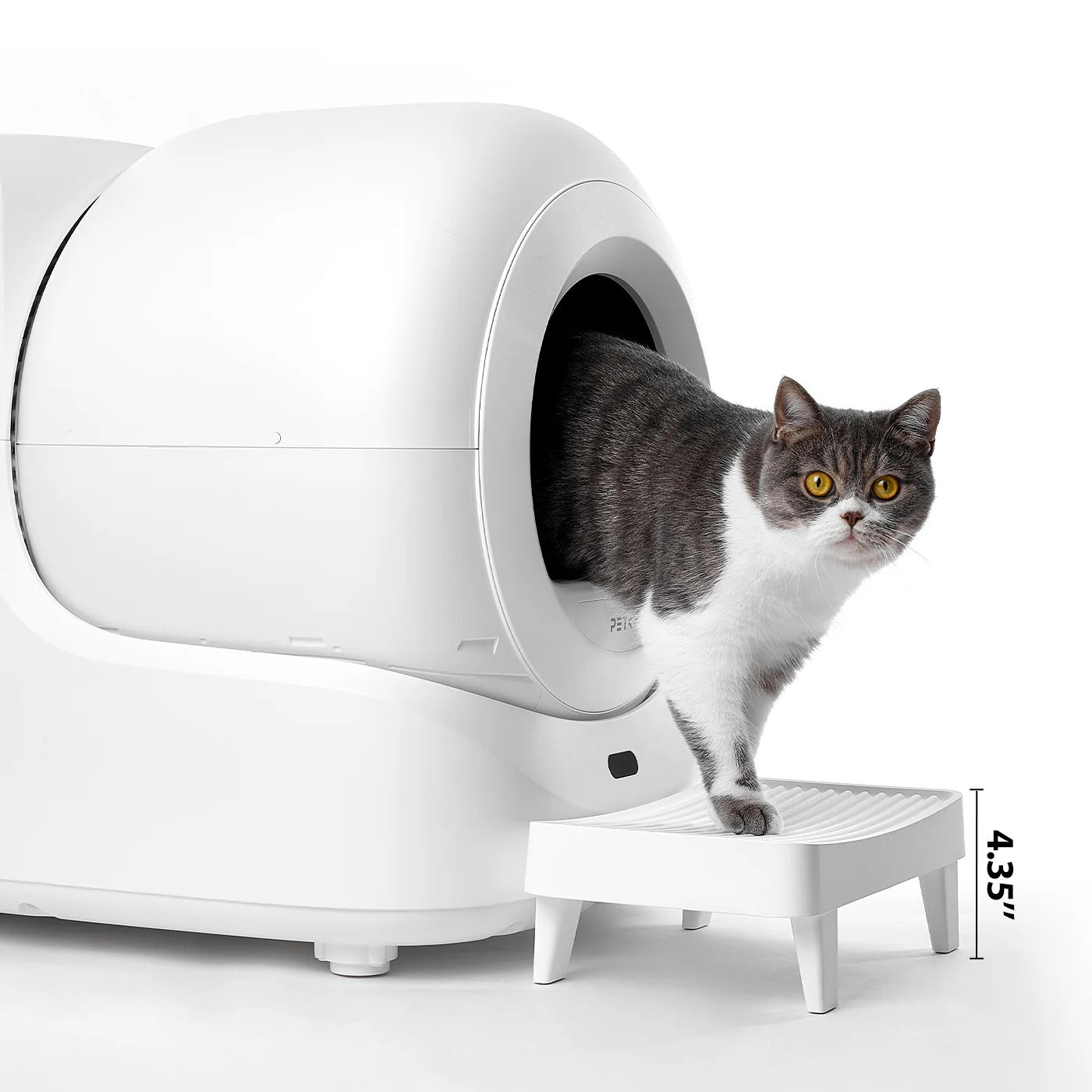 2025/08/04 Why Do European Cat Owners Need the Best Self Cleaning Cat Litter Box?