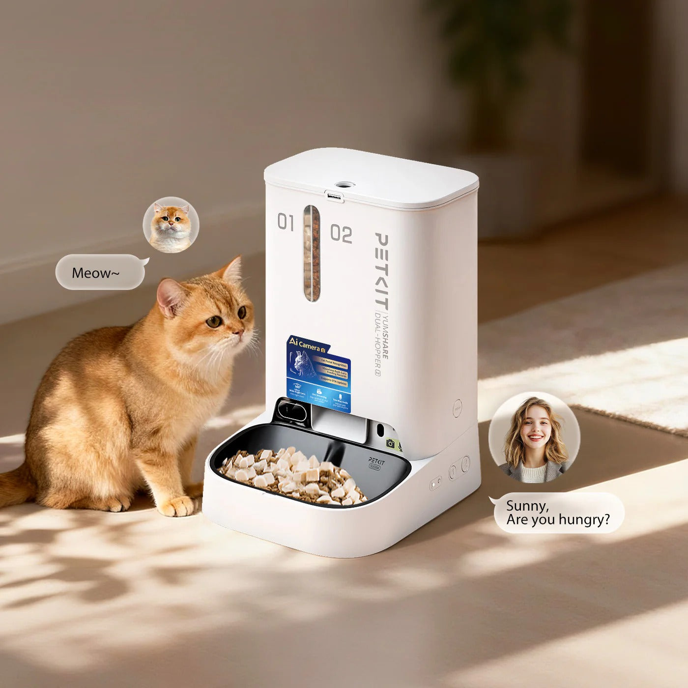 2025/08/09 Is an Automatic Cat Feeder Worth It? Solving Your Pet Feeding Worries
