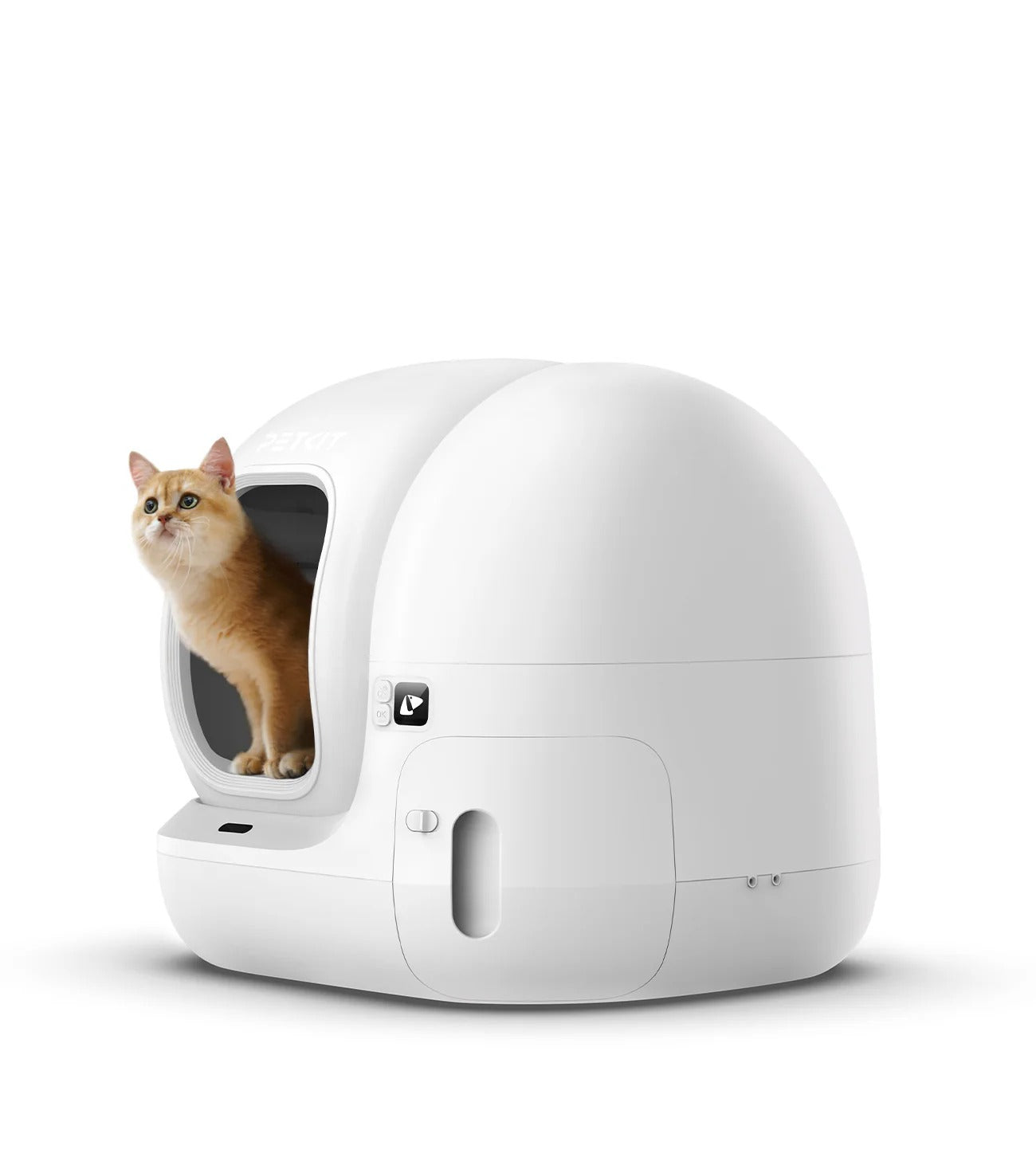 2025/08/30 Top Auto Litter Box for Europe: Petkit Pura Max Review (Multi-Cat & Smart App Control)