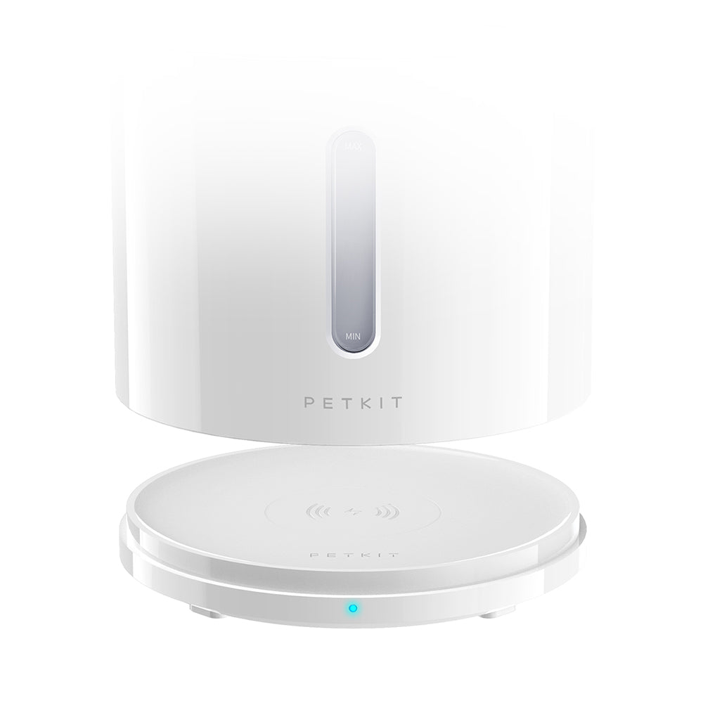 Fontaine à eau pour animaux EverSweet Solo 2