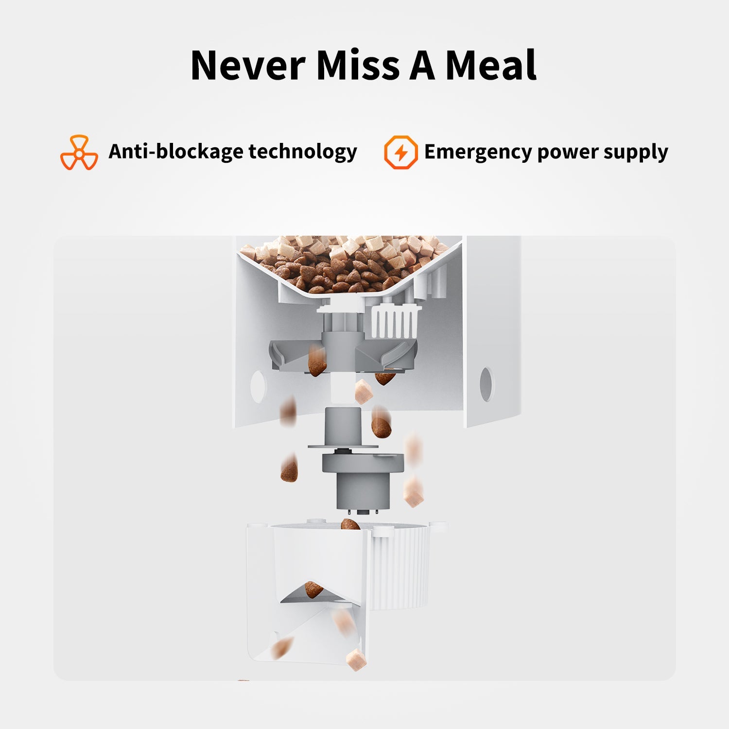 YumShare Solo Futterautomat mit Kamera
