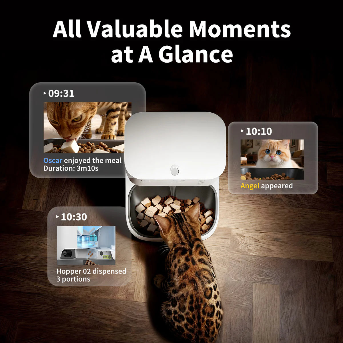 YumShare Dual-hopper 2 Ultimate Bundle