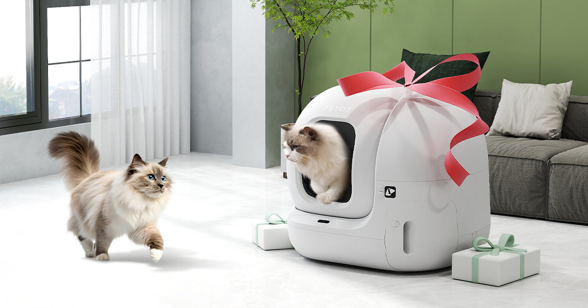 2025/08/15 Self Clean Litter: The Ultimate Guide for European Cat Owners – Top Picks &amp; Buying Tips