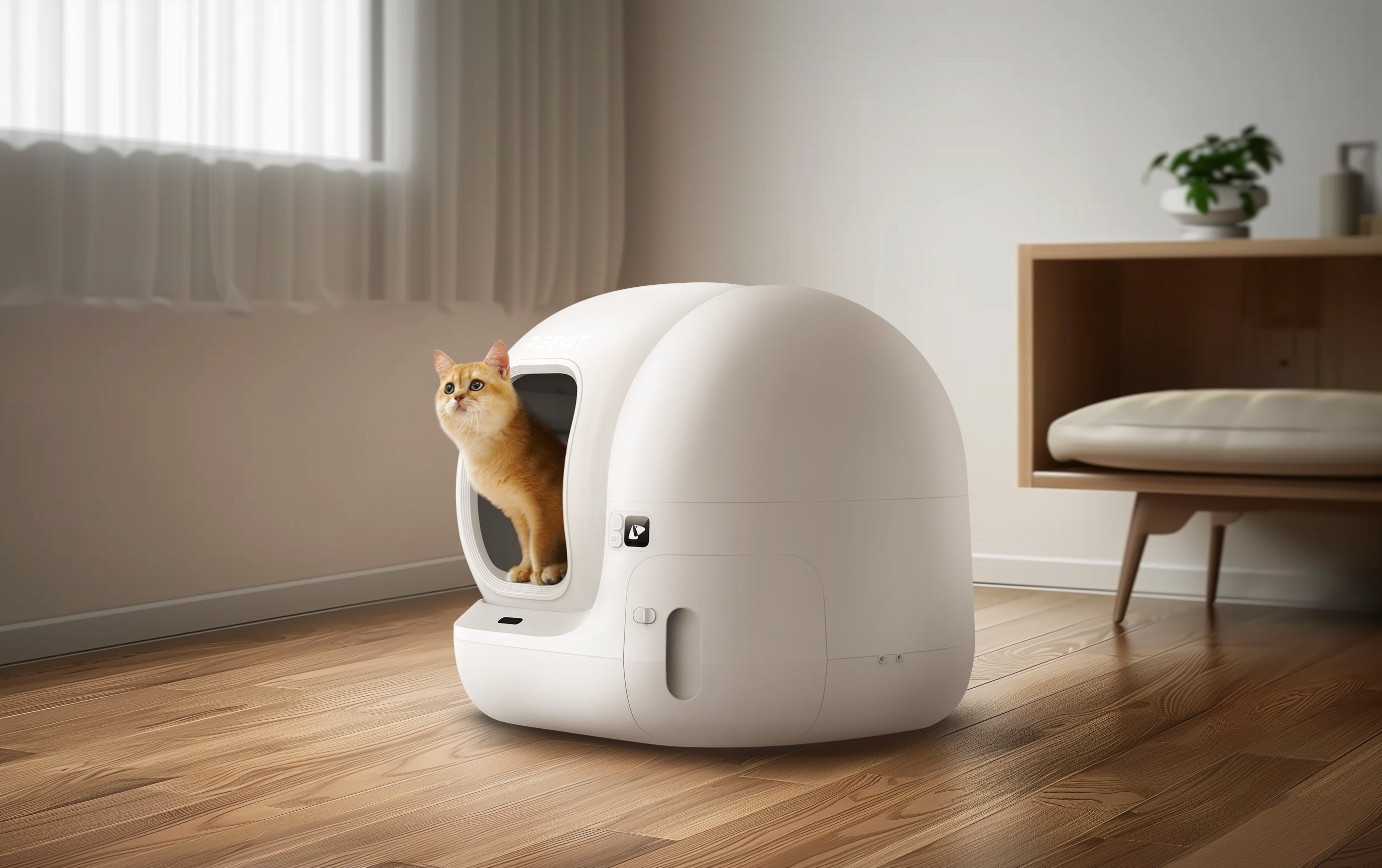 2025/08/15 Electric Litter Tray: The Ultimate Guide for European Cat Owners – 2025 Picks