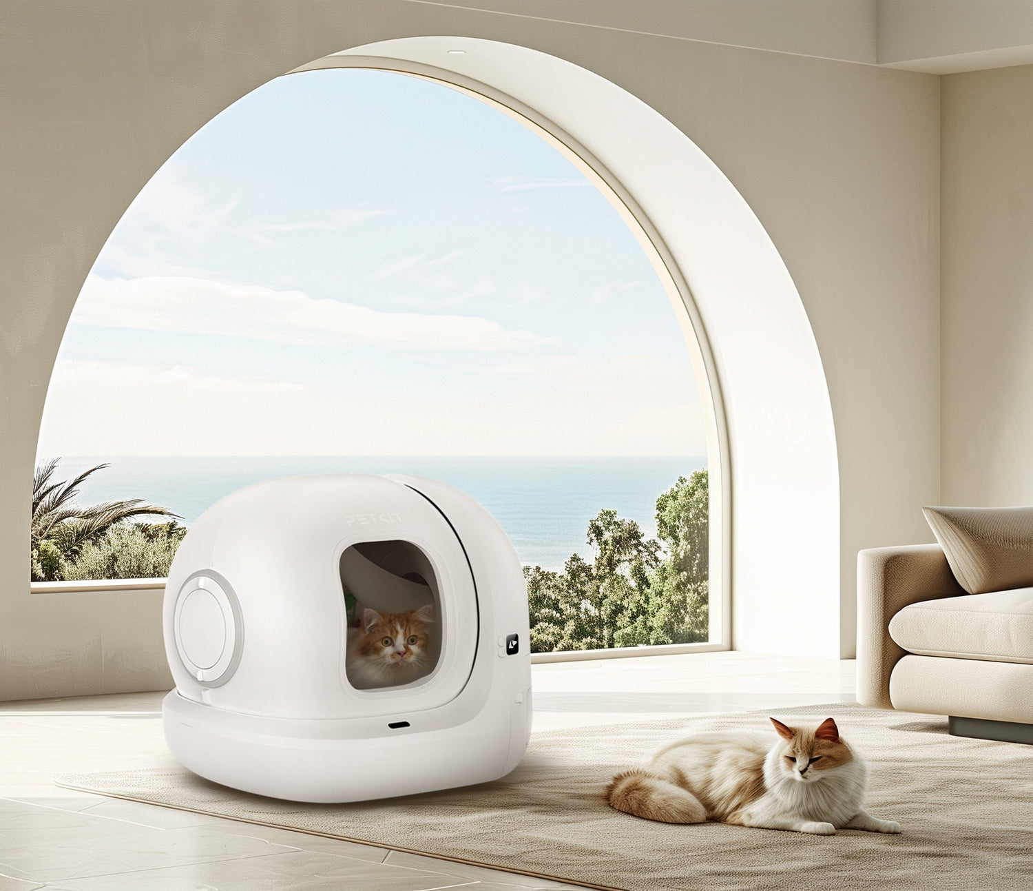 2025/08/17 2025 Tested: Petkit vs Litter-Robot – Which Smart Litter Box Did 90% of European Cat Owners Choose Correctly?
