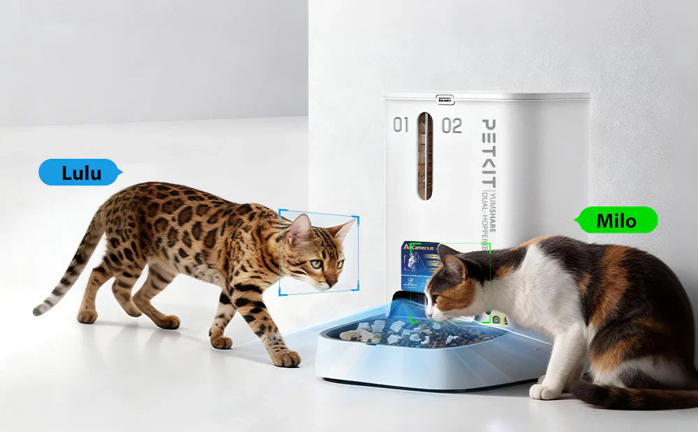 2025/08/27 2025 Tested! Petkit Automatic Cat Feeder: Solves Food Competition & Wet Food Spoilage for European Multi-Cat Households, 30-Day Battery Life Ideal for Travel