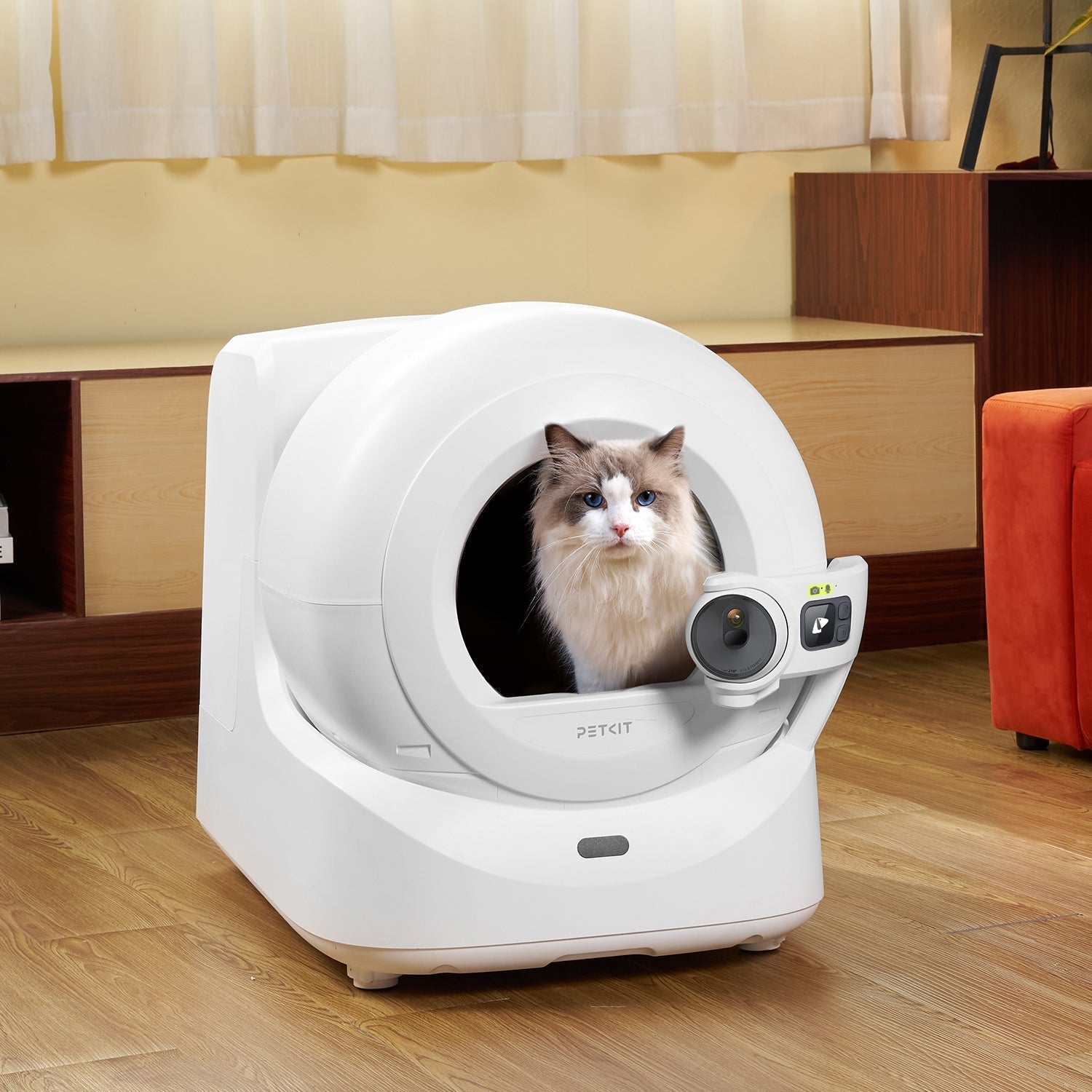 2025/08/24 Best Automatic Litter Box for European Pet Owners: Solve 10 Common Problems