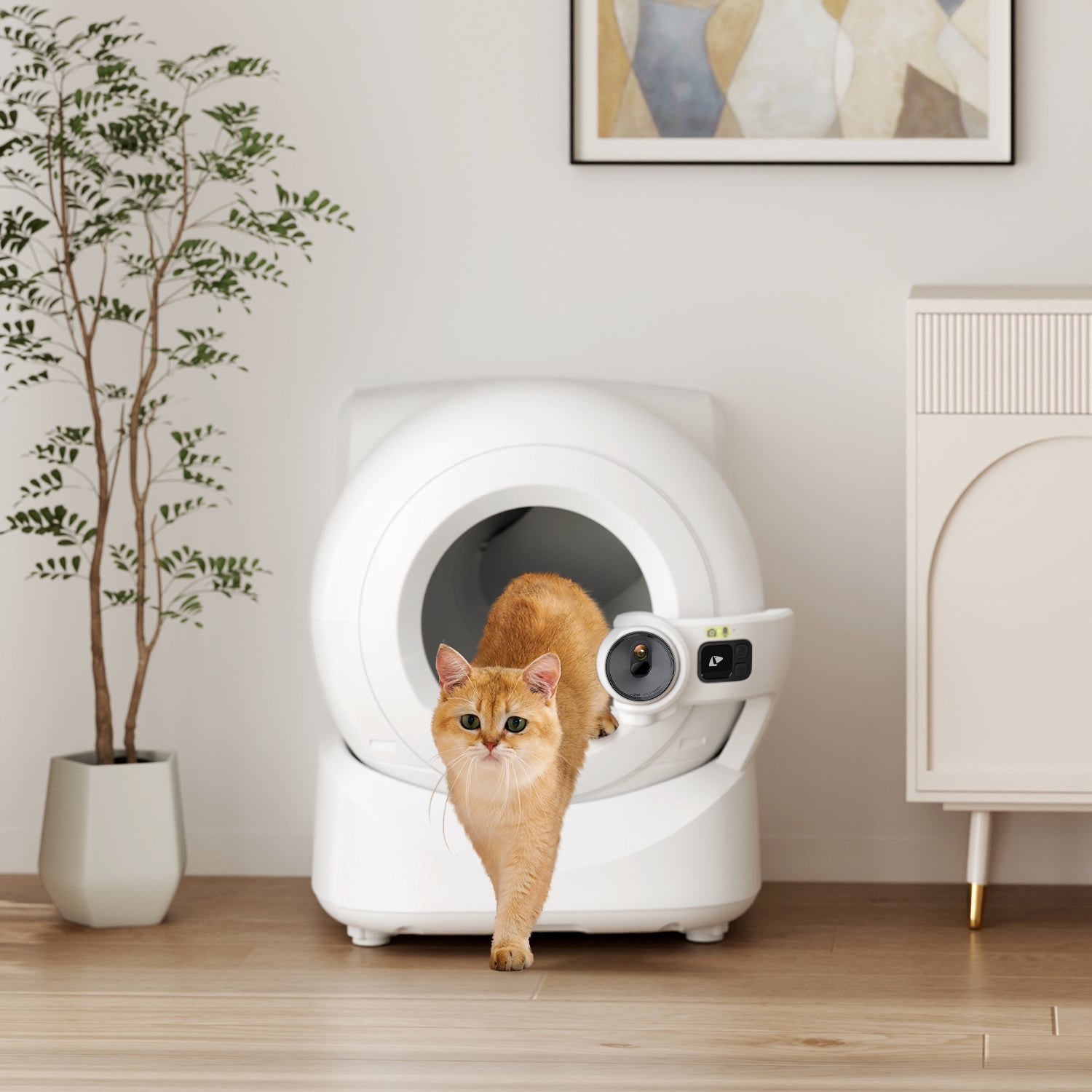 2025/08/18 Must-Read for European Cat Owners! Petkit Automatic Kitty Litter Box: Small Space-Friendly + Quiet Design, Hands-Free Freedom