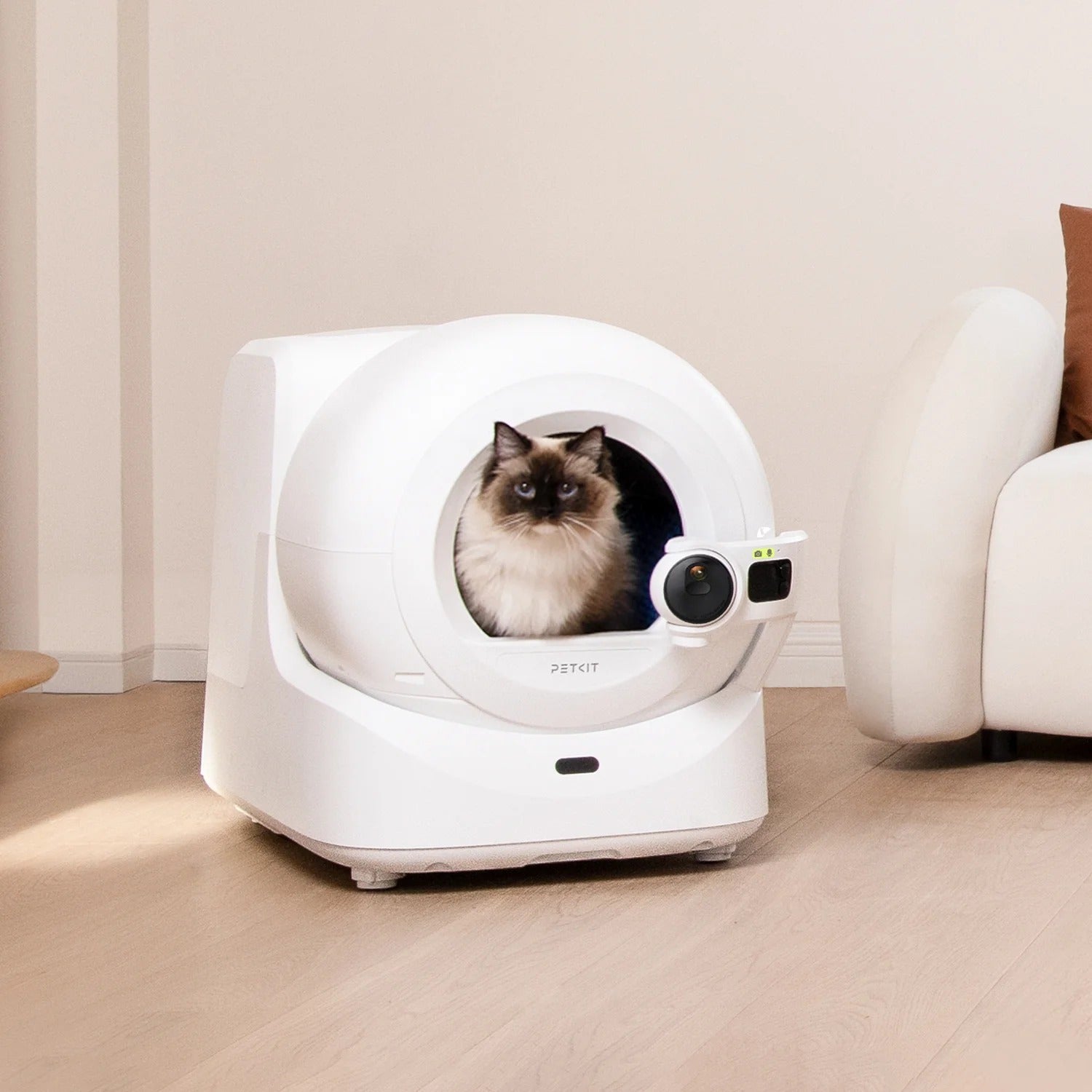 2025/08/04 How to Choose the Best Cat Toilet for European Homes?