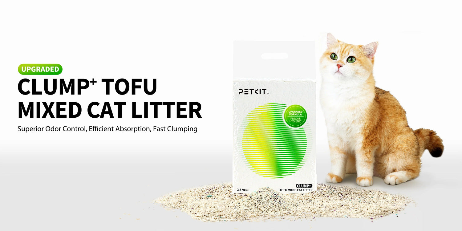 2025/08/21 Cat Litter Europe: Find the Best FSC, Odor-Control &amp; Low-Dust Options for Your Feline