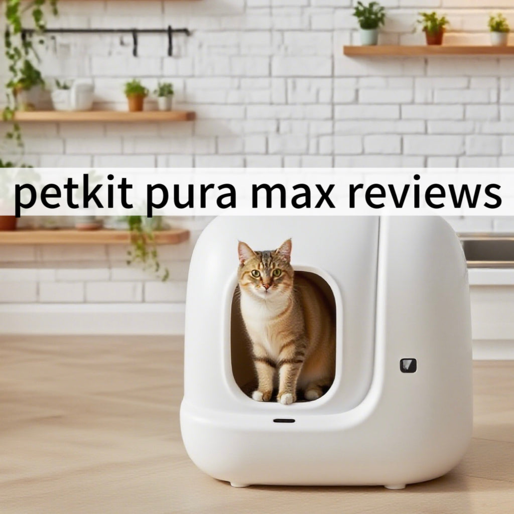 2025/08/23 Petkit Pura Max Reviews Europe 2025: Is This Smart Litter Box Worth Buying?