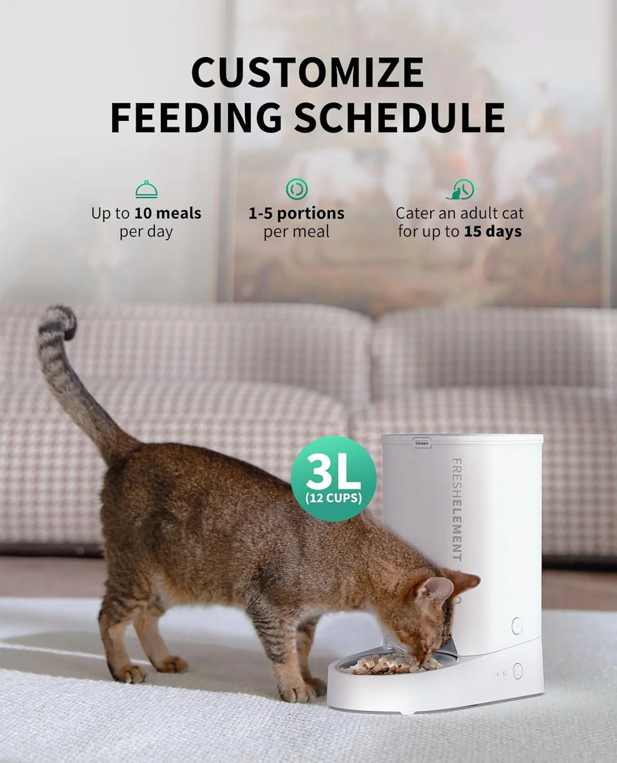 Fresh Element Solo Automatic Feeder