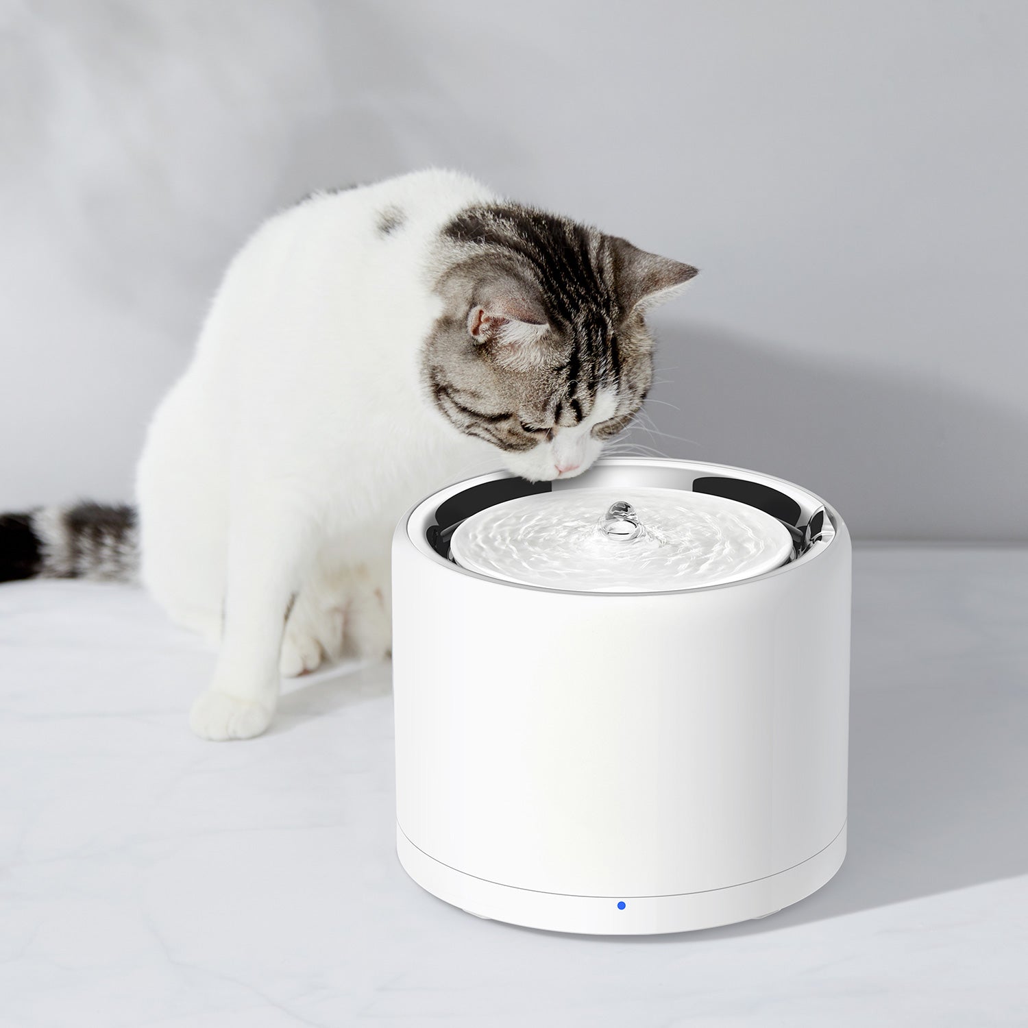 EverSweet 3 Pro UVC Pet Water Fountain – Smart Hydration