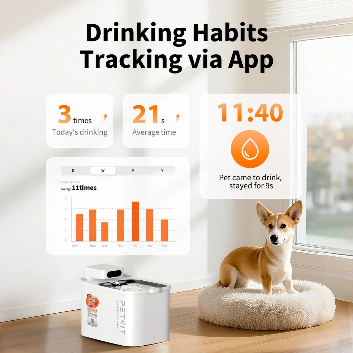 PETKIT Smart Essentials Bundle