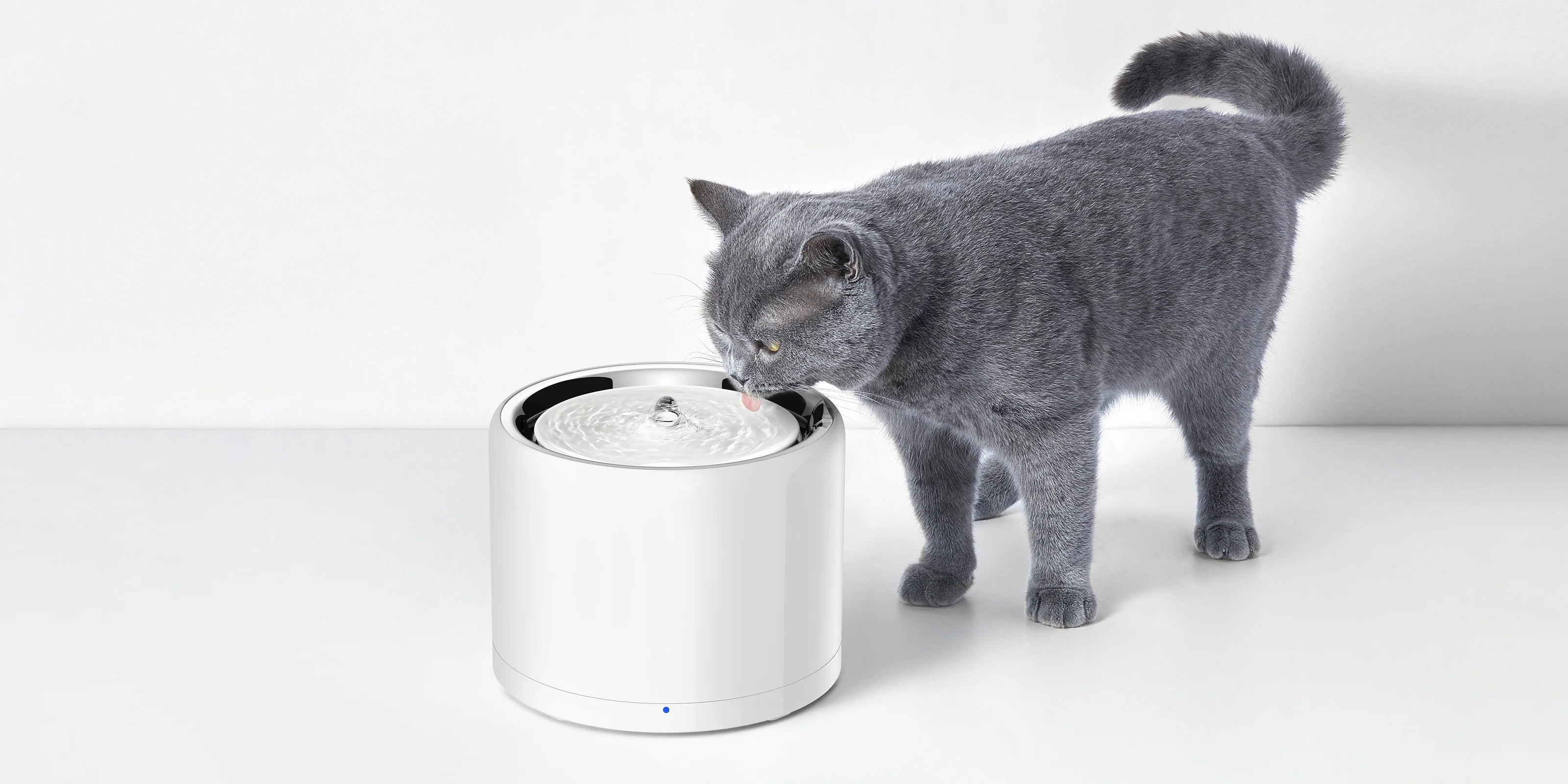 EverSweet 3 Pro UVC Pet Water Fountain – Smart Hydration