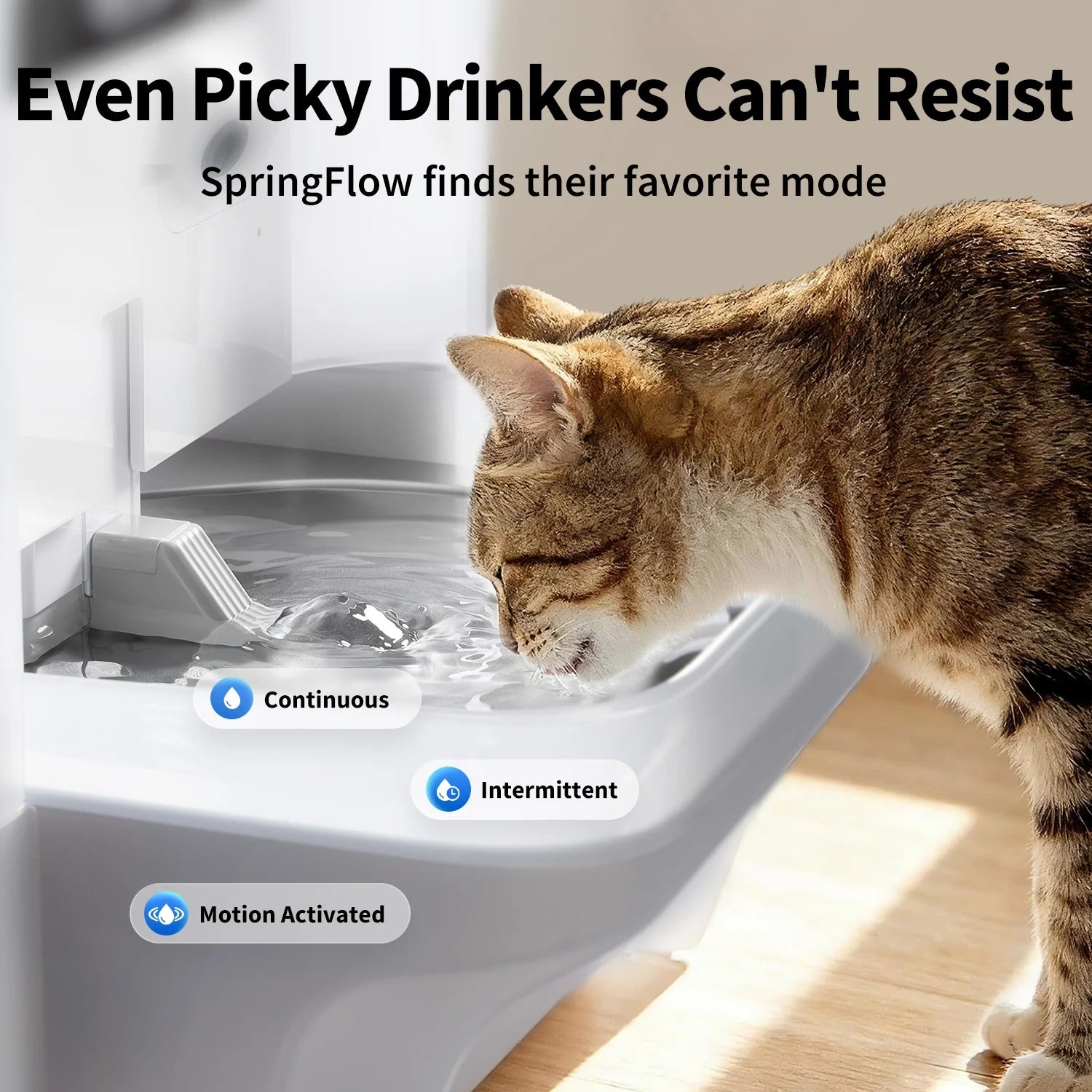 Pre-sale：EverSweet Ultra with Camera Pet Water Fountain